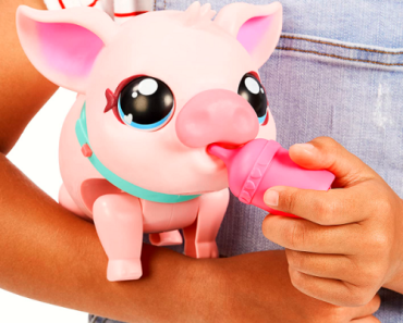 Little Live Pets Interactive Pig Toy Only $17.99!!