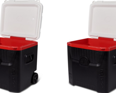 Igloo 52-Quart Quantum Roller Ice Chest Cooler with Wheels Only $29.60! (Reg. $70)