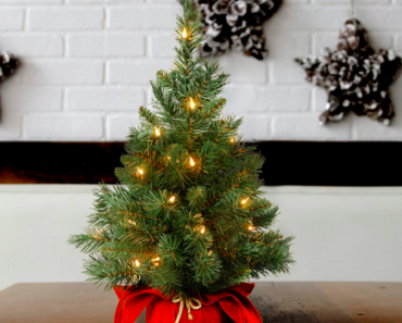 National Tree Company Pre-Lit Mini Christmas Tree Just $29.99 Shipped! (Reg. $50)
