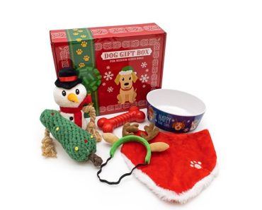 Walmart: Holiday Gift Box for Dogs Only $9.97! (Reg $19.97)