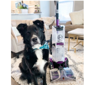 Hoover Smartwash Pet Carpet Cleaner Machine Only $139 Shipped! (Reg. $300) BETTER THAN BLACK FRIDAY!