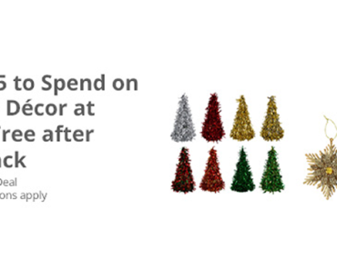 Awesome Freebie! Get a FREE $15.00 to spend on Holiday Decor at Dollar Tree from TopCashBack!