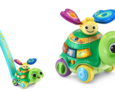 VTech 2-in-1 Toddle and Talk Turtle Interactive Toy – Just $8.86!