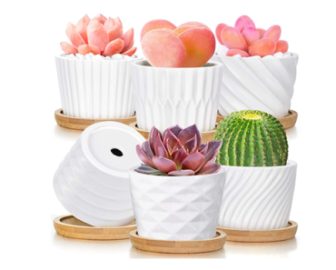 White Ceramic Succulent Pots w/ Bamboo Saucers – Set of 6 – Just $18.98!