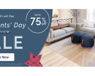 Rugs USA Presidents’ Day Preview Sale! Up to 75% Off! Plus FREE Shipping!