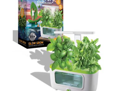 Discovery Kids Glow Grow Kit Only $44.99! (Reg $89.99)