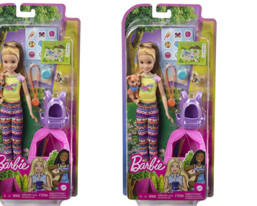 Barbie It Takes Two Camping Playset with Stacie Doll Only $9.90! (Reg. $15)