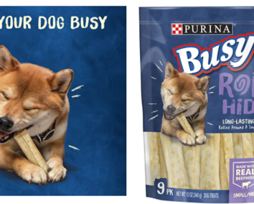 Purina Busy Real Beefhide Dog Chews Only $4.61! (Reg. $9.50)