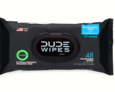 Dude Wipes Fragrance-Free Flushable Wipes 48-Count Pack Just $2.98! (Reg. $6.99)