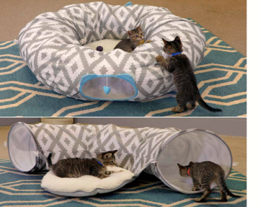 Kitty City Large Cat Tunnel Bed Only $35.49 Shipped!