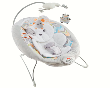 Fisher-Price Sweet Snugapuppy Deluxe Bouncer Only $44.99 w/ clipped coupon! (Reg. $60)