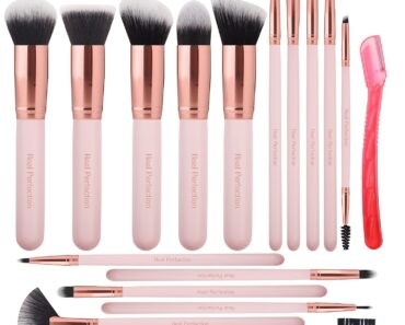 Real Perfection Makeup Brush Set (16 Pieces) – Only $7.99!