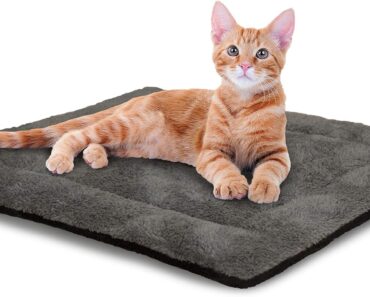 K&H PET PRODUCTS Self-Warming Pet Bed Pad – Only $7.99!