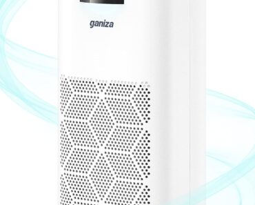 Ganiza Air Purifier – Only $50!
