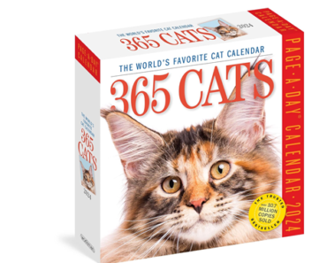 365 Cats Page-A-Day Calendar 2024 – Just $8.49!