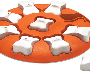 Outward Hound Nina Ottosson Dog Smart Orange Interactive Treat Puzzle – Just $6.59!