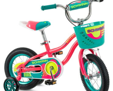 Schwinn 12″ Breeze Girls Child Bike with Basket – Only $78!