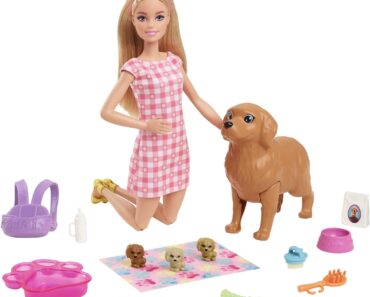Barbie Doll and Pets – Only $11.72!