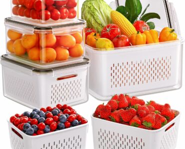 Fruit Storage Containers (Pack of 4) – Only $16.99!
