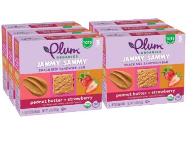 Plum Organics Jammy Sammy Snack Bars Organic Toddler & Kids Snacks – Only $15.21!