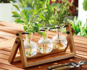 Better Homes & Gardens Painted Rectangle Glass and Wood Propagation Station Set – Only $15.24!