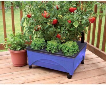 Emsco Group City Picker Raised Bed Grow Box – Only $21.55!