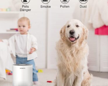 HEPA Air Purifier – Only $59.99!
