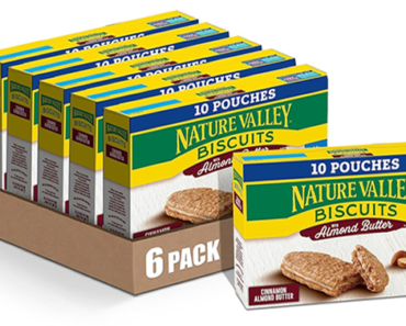 Nature Valley Biscuit Sandwiches, Cinnamon Almond Butter, 10 count, Pack of 6 – Just $16.83!