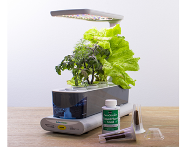 Exclusive AeroGarden Sprout LED, Grey with Gourmet Herbs Seed Kit – Just $38.26!