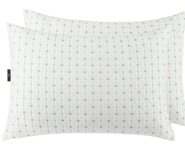 Sertapedic Charcool Bed Pillow, Standard/Queen, 2 Pack – Just $17.96!
