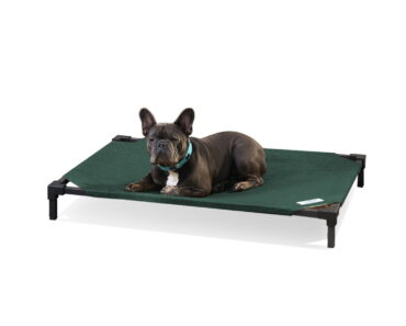 Coolaroo Cooling Elevated Dog Bed Pro (Medium) – Only $12.60!