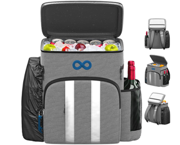 Insulated Backpack Cooler – Great for Picnics and MORE – Just $26.99!