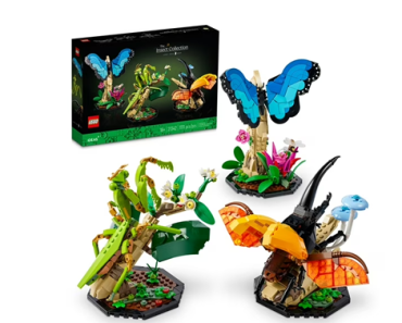 LEGO Ideas The Insect Collection Building Set 21342 – Just $40.00! Black Friday Deals – Walmart+ Early Access! LEGO Ideas The Insect Collection Building Set 21342 – Just $40.00! Black Friday Deals – Walmart+ Early Access!